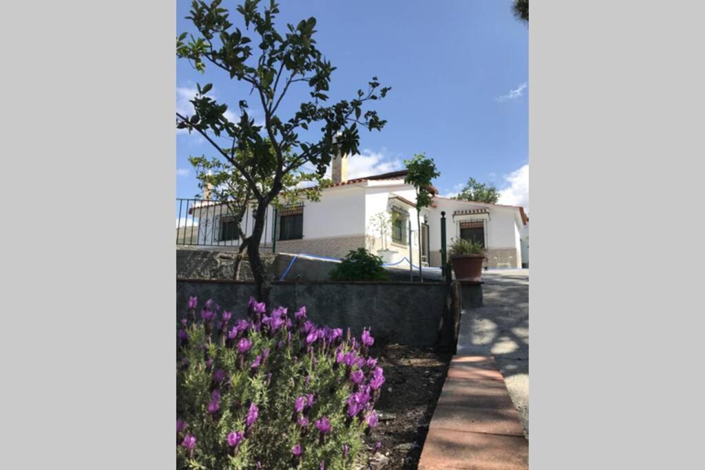 Casa Dimas Villa Cómpeta Exteriör bild